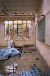 31_Reala_Summicron 35 ASPH