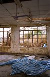 33_Reala_Summicron 35 ASPH