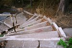 34_Reala_Summicron 35 ASPH