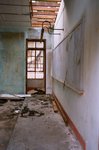 35_Reala_Summicron 35 ASPH