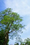 IMG_2309e