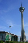 IMG_2338e