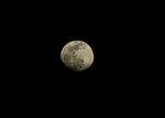 DSC_3482e