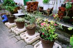 0118_Ricoh GR1V_Xtra 400