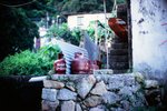 4329_Leica M7_Noctilux_RVP 100