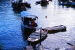 4336_Leica M7_Noctilux_RVP 100