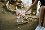 4815_Leica M7_Elmar 50 F2.8_160NC
