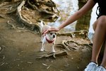 4816_Leica M7_Elmar 50 F2.8_160NC