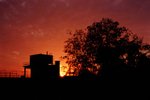 2009_Leica MP_Noctilux_RVP 100
