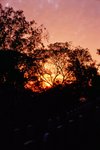 2010_Leica MP_Noctilux_RVP 100