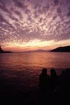 2025_Leica MP_Elmarit 24 ASPH_RVP 100