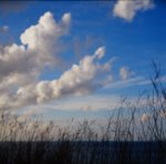 0409_Rolleiflex 2.8FX_Planar 80 F2.8_E100VS