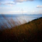 0412e_Rolleiflex 2.8FX_Planar 80 F2.8_E100VS