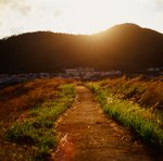 0502_Rolleiflex 2.8FX_Planar 80 F2.8_E100VS