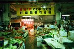 0925_Ricoh GR1S_Xtra 400