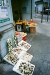 0927_Ricoh GR1S_Xtra 400