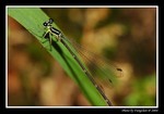 DSC_0236e