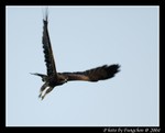 DSC_0900e