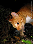 041116_35