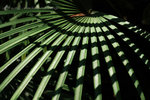 ���v_050306_09