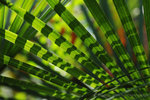 ���v_050306_11