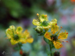 040425_9407_PS