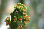 �n�X 050325_03