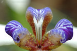 �n�X 050325_20
