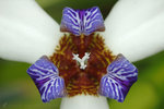 �n�X 050325_21