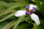�n�X 050325_22