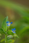 060701_08s
