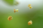����?_050409_01