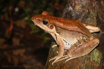 ��_060610ns_23s