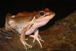 ��_060610ns_24s