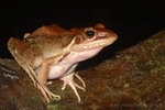 ��_060610ns_25s