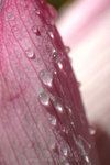 060624_29s