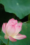 060624_35s