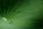 060624_36s