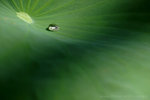060624_37s