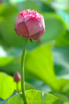 060624_38s