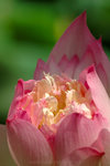 060624_39s