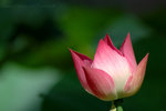 060624_40s