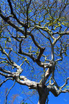 ���q_�Z�x_030420_9236