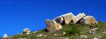 ���q_�Z�x_030420_9263
