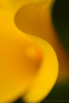050313_01_NikonCapture4