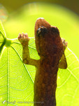 ����_030927_7096