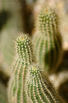 060624_47s