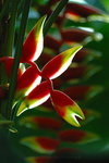 060624_58s