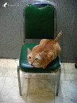 040915_03