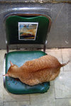 "��"��BB_050721_01